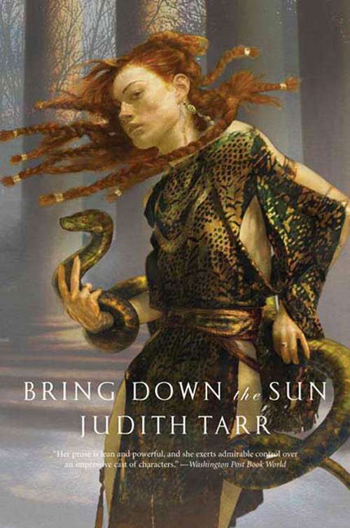 Book cover of Bring Down the Sun