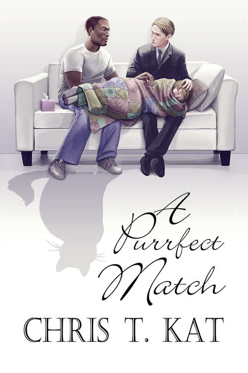 Book cover of A Purrfect Match