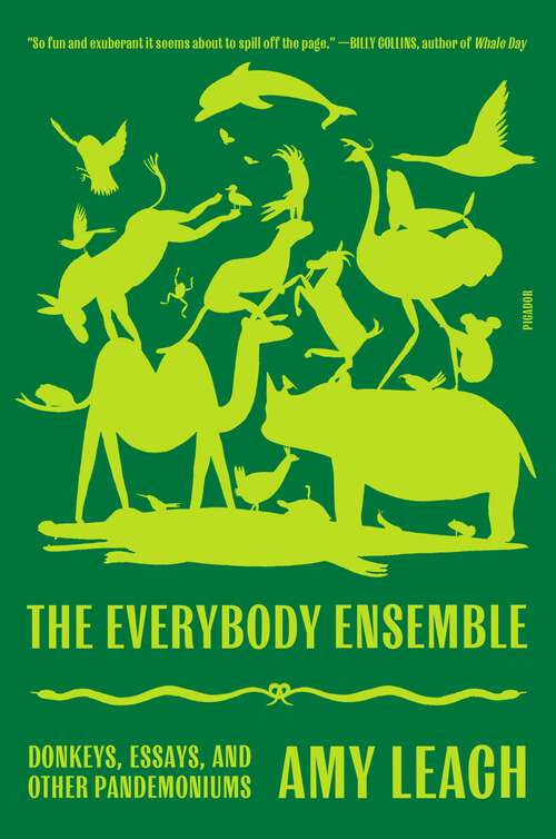 Book cover of The Everybody Ensemble: Donkeys, Essays, and Other Pandemoniums