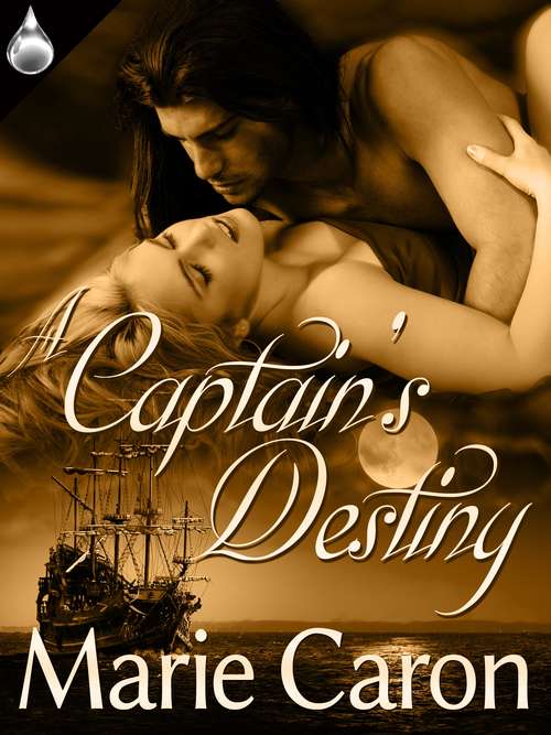 Book cover of A Captain's Destiny