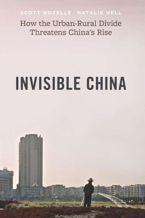 Book cover of Invisible China: How the Urban-Rural Divide Threatens China’s Rise