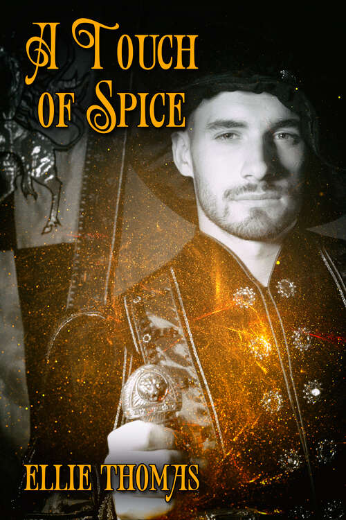 Book cover of A Touch of Spice