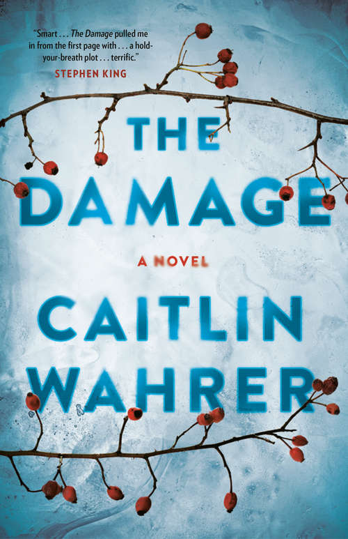 Book cover of The Damage: A Novel