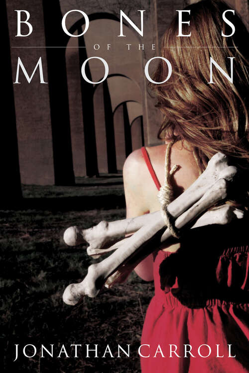 Book cover of Bones of the Moon