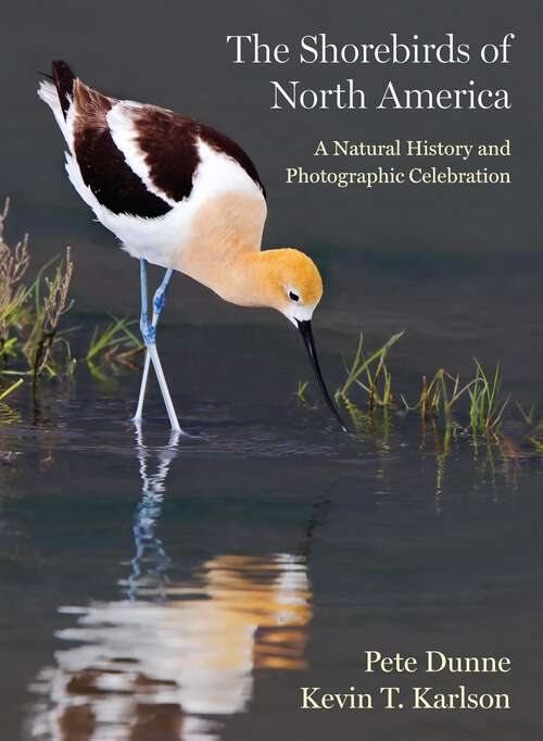 Book cover of The Shorebirds of North America: A Natural History and Photographic Celebration