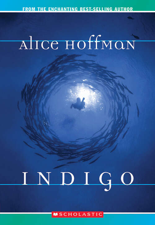 Book cover of Indigo