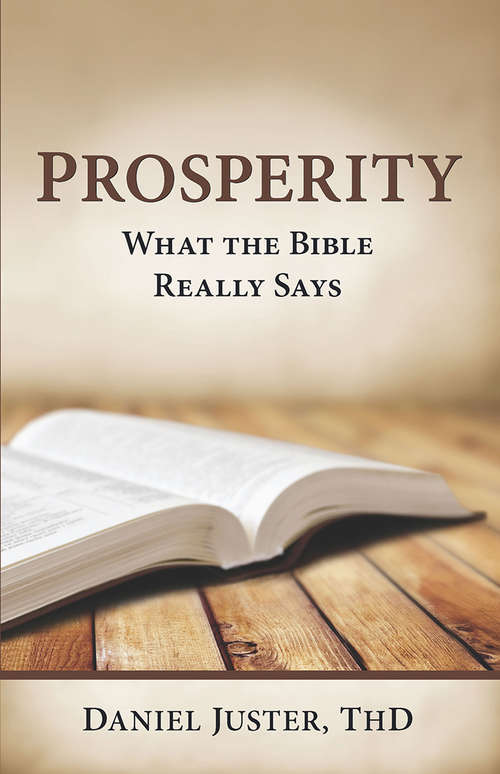 Book cover of Prosperity - What The Bible Really Says: What The Bible Really Says