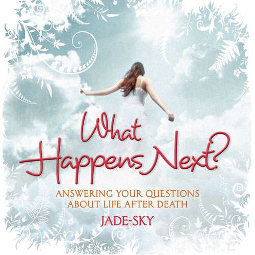 Book cover of What Happens Next? (What Happens Next? Ser.)