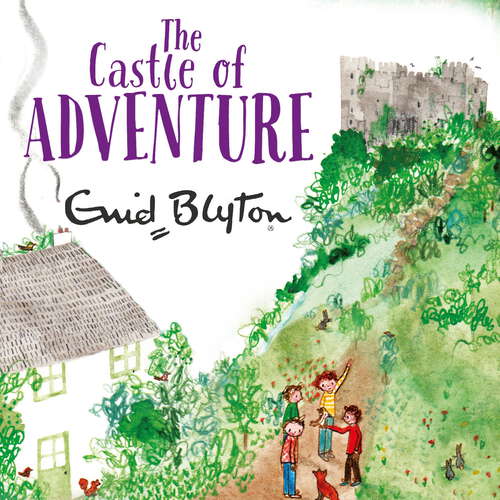 Book cover of The Castle of Adventure (The Adventure Series #1)