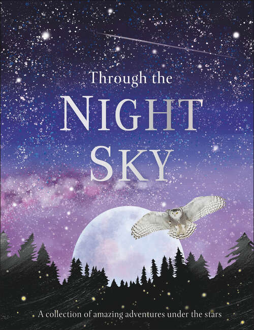 Book cover of Through the Night Sky: A collection of amazing adventures under the stars (Journey Through)