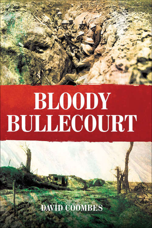 Book cover of Bloody Bullecourt