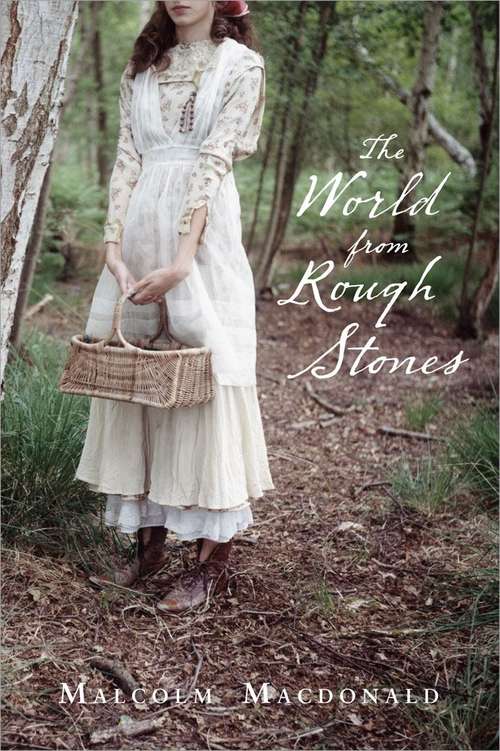 Book cover of The World From Rough Stones