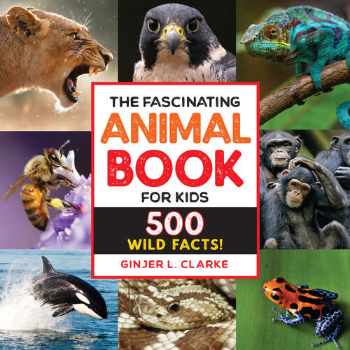 Book cover of The Fascinating Animal Book for Kids: 500 Wild Facts! (Fascinating Facts)