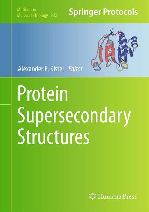 Book cover of Protein Supersecondary Structures