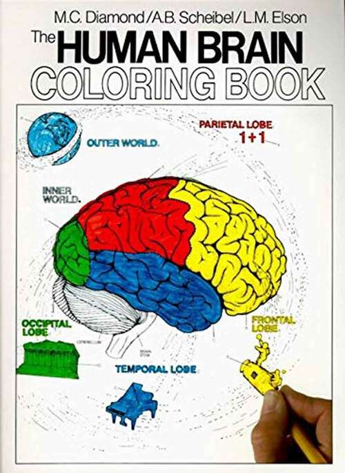 Book cover of The Human Brain Coloring Book (Coloring Concepts Series #306)