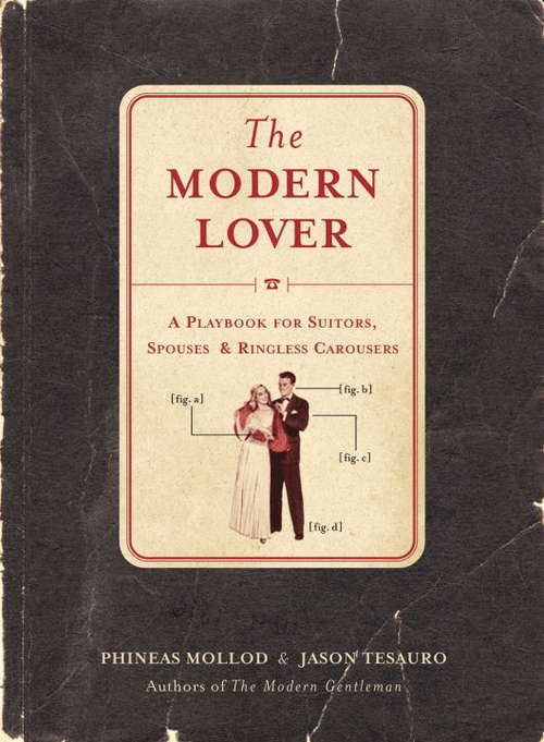 Book cover of The Modern Lover