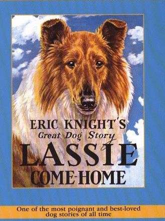 Book cover of Lassie Come-Home
