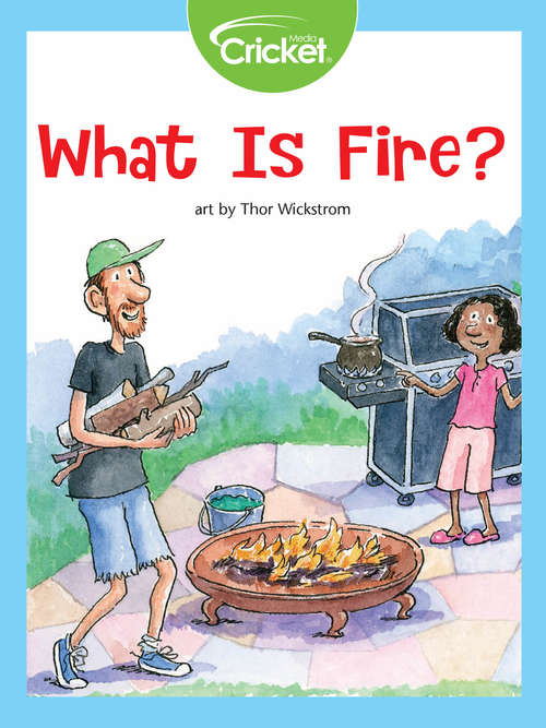 Book cover of What Is Fire?