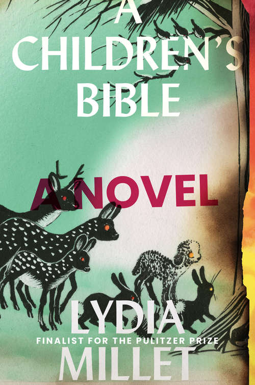 Book cover of A Children's Bible: A Novel