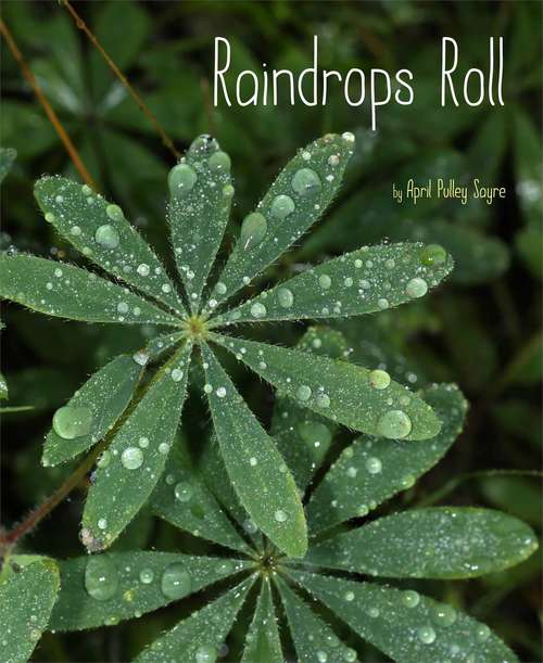 Book cover of Raindrops Roll