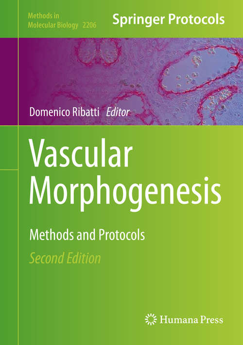 Book cover of Vascular Morphogenesis: Methods and Protocols (2nd ed. 2021) (Methods in Molecular Biology #2206)