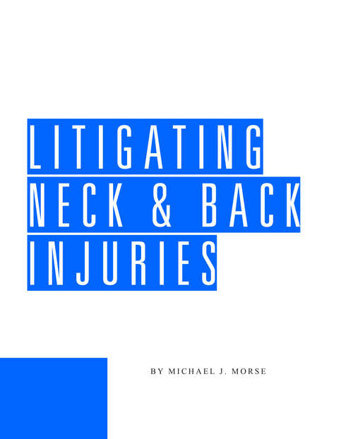 Book cover of Litigating Neck and Back Injuries