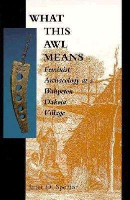 Book cover of What This Awl Means: Feminist Archaeology at a Wahpeton Dakota Village