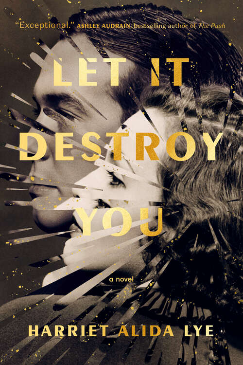 Book cover of Let It Destroy You: A Novel