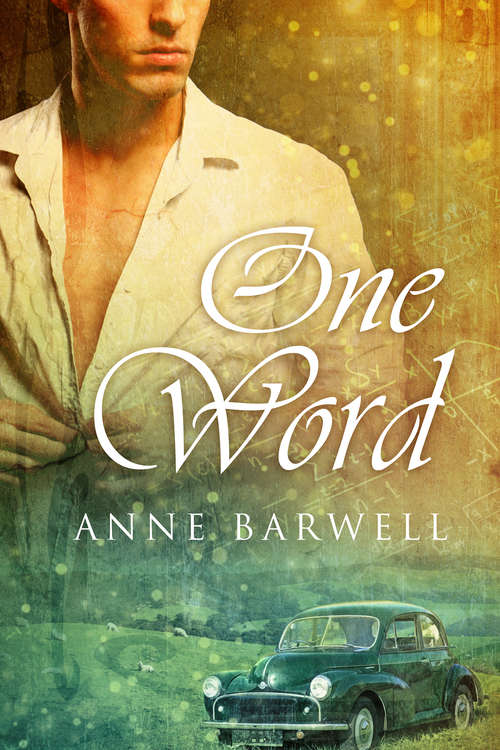 Book cover of One Word (Hidden Places: Vol. 3)