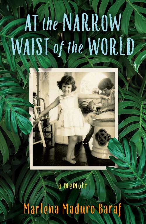 Book cover of At the Narrow Waist of the World: A Memoir