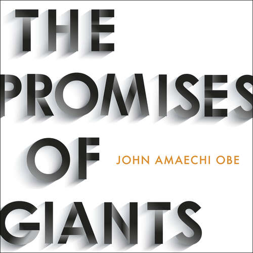 Book cover of The Promises of Giants: How YOU can fill the leadership void --THE SUNDAY TIMES HARDBACK NON-FICTION & BUSINESS BESTSELLER--