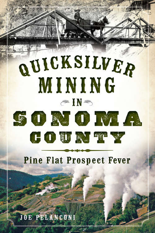 Book cover of Quicksilver Mining in Sonoma County: Pine Flat Prospect Fever