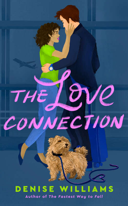 Book cover of The Love Connection