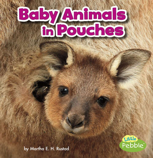 Book cover of Baby Animals in Pouches (Baby Animals And Their Homes Ser.)