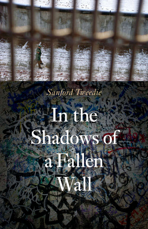 Book cover of In the Shadows of a Fallen Wall
