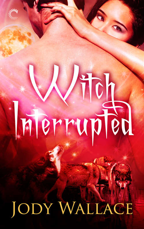 Book cover of Witch Interrupted