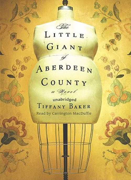 Book cover of The Little Giant of Aberdeen County