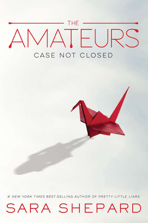 Book cover of The Amateurs (The Amateurs #1)