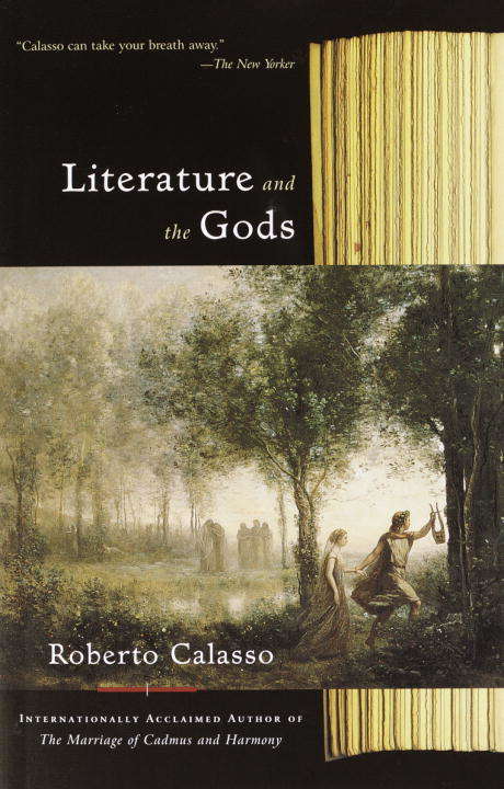 Book cover of Literature and the Gods