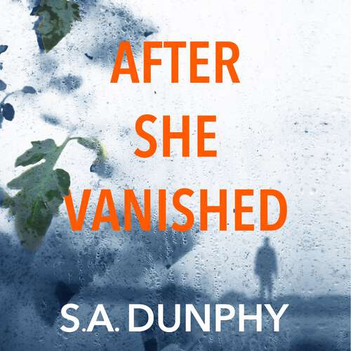 Book cover of After She Vanished (David Dunnigan #1)