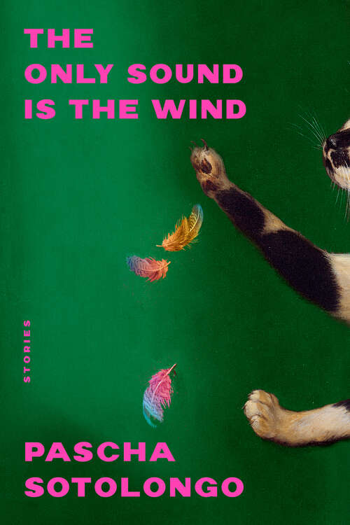 Book cover of The Only Sound Is the Wind: Stories