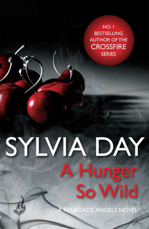 Book cover of A Hunger So Wild (A Renegade Angels Novel)