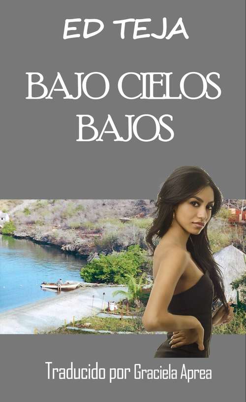 Book cover of Bajo cielos bajos