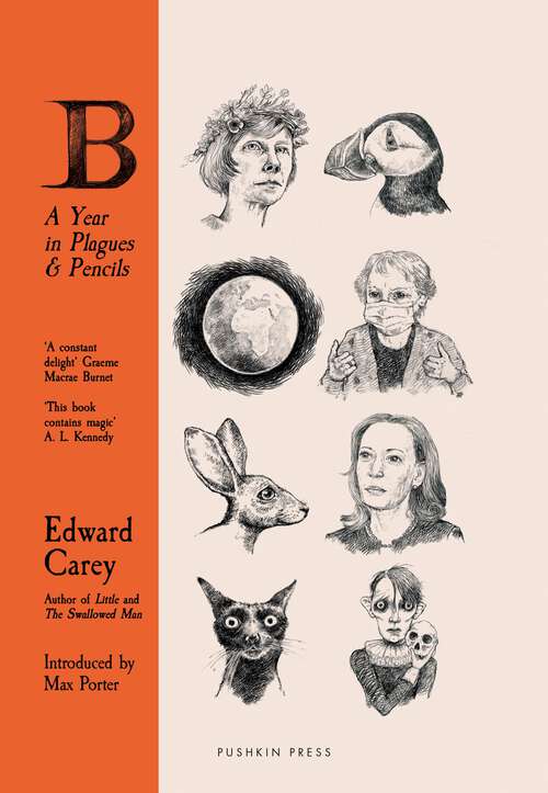 Book cover of B: A Year in Plagues and Pencils