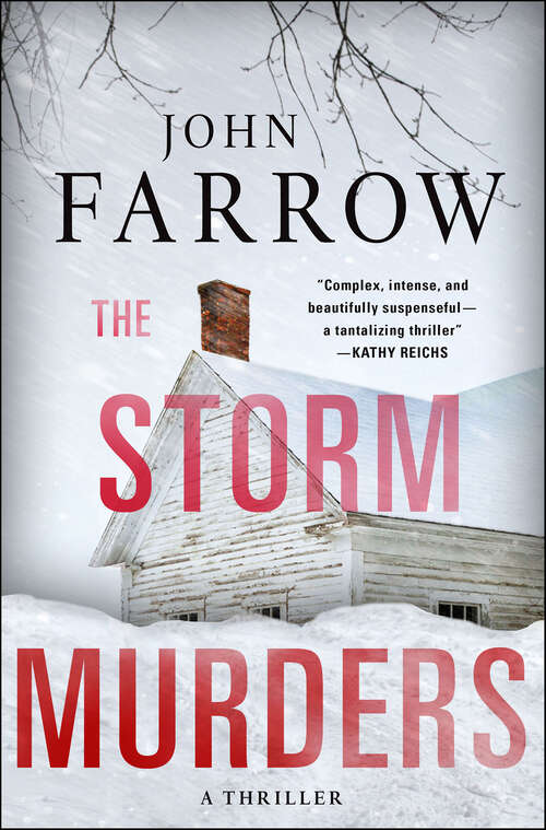 Book cover of The Storm Murders: A Thriller (The Storm Murders Trilogy #1)