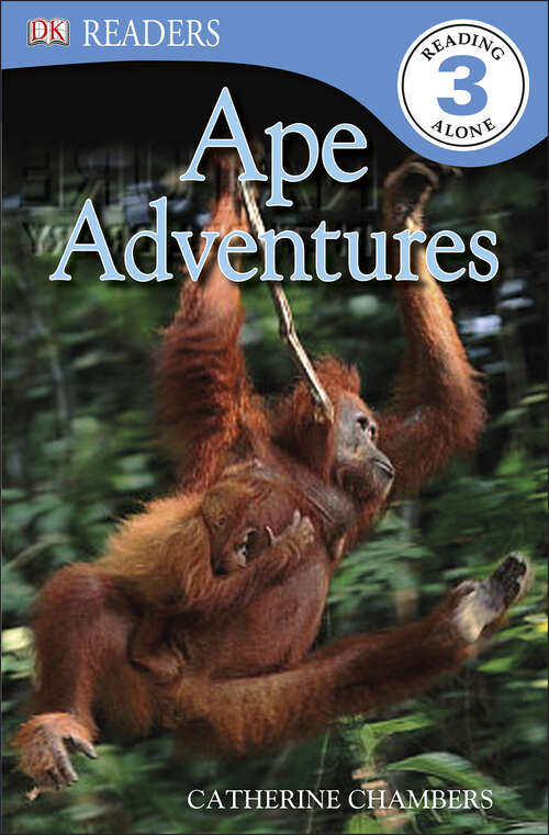Book cover of DK Readers: Ape Adventures (DK Readers Level 3)