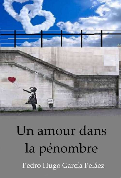 Book cover of Un amour dans la pénombre