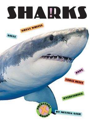 Book cover of Sharks (X-Books: Predators)