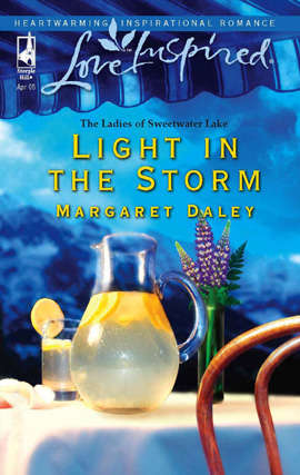 Book cover of Light in the Storm