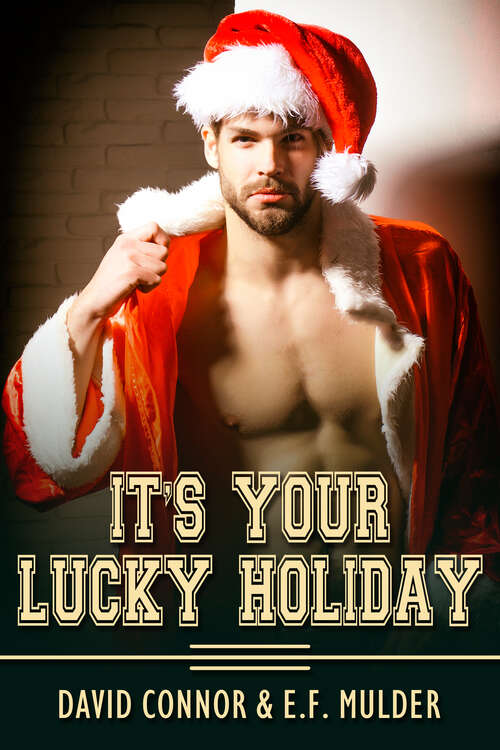 Book cover of It's Your Lucky Holiday